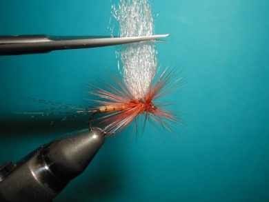 Fly tying - Thorax with X of foam. - Step 10