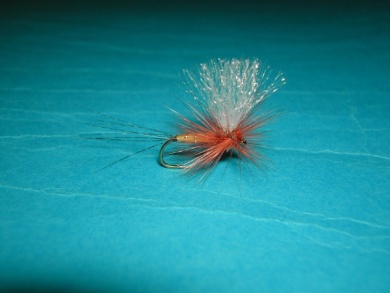 Fly tying - Thorax with X of foam. - Step 12