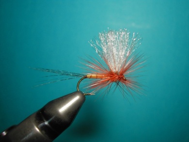 Fly tying - Thorax with X of foam. - Step 11