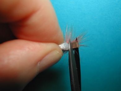 Fly tying - Thorax with X of foam. - Step 9