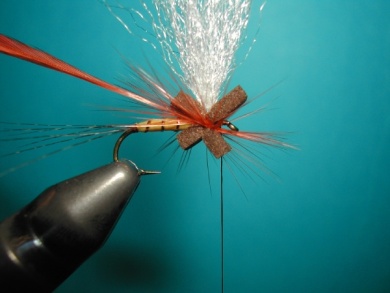 Fly tying - Thorax with X of foam. - Step 5