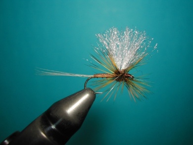 Fly tying - Thorax with X of foam. - Step 14
