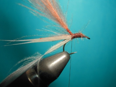 Fly tying - Cripple - Step 5