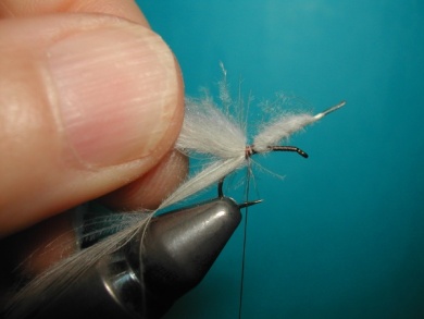 Fly tying - Cripple - Step 2