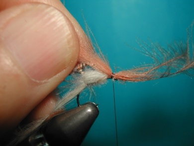 Fly tying - Cripple - Step 13