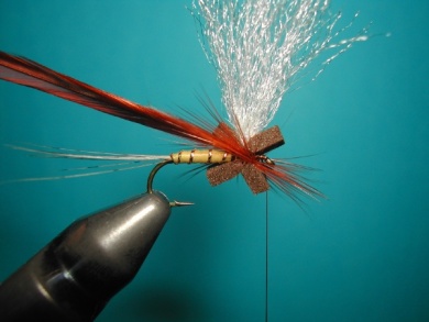 Fly tying - Hackle oriented forward to 45° - Step 5