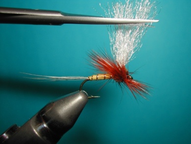 Fly tying - Hackle oriented forward to 45° - Step 9