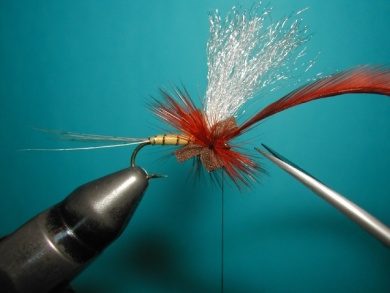 Fly tying - Hackle oriented forward to 45° - Step 6