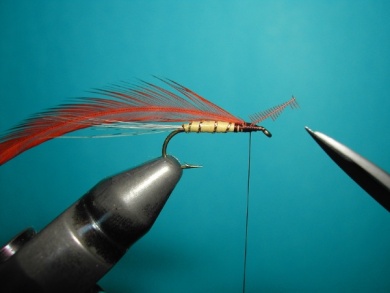 Fly tying - Hackle oriented forward to 45° - Step 1