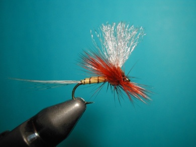 Fly tying - Hackle oriented forward to 45° - Step 10