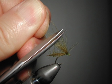 Fly tying - Mirage 2 - Step 7