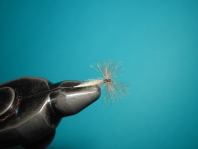 Fly tying - Mirage 2 - Step 9