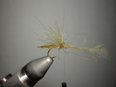 Fly tying - Mirage 2 - Step 3
