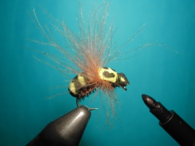 Fly tying - Wasp - Step 10