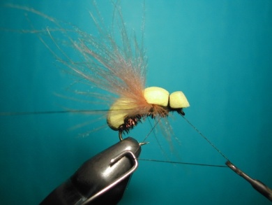 Fly tying - Wasp - Step 9