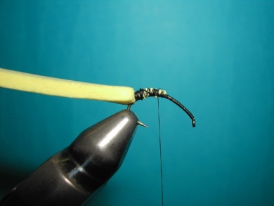 Fly tying - Wasp - Step 1