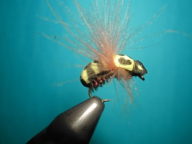 Fly tying - Wasp - Step 11