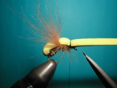 Fly tying - Wasp - Step 8
