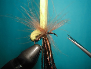 Fly tying - Wasp - Step 6