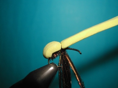 Fly tying - Wasp - Step 4