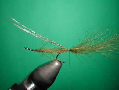 Fly tying - Mirage 3 - Step 3