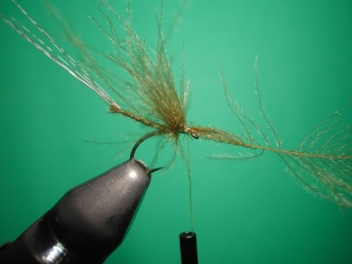 Fly tying - Mirage 3 - Step 7