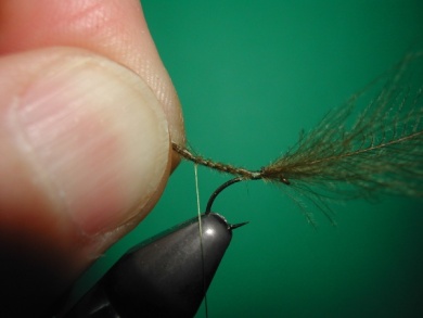Fly tying - Mirage 3 - Step 4