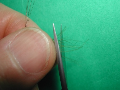 Fly tying - Mirage 3 - Step 10