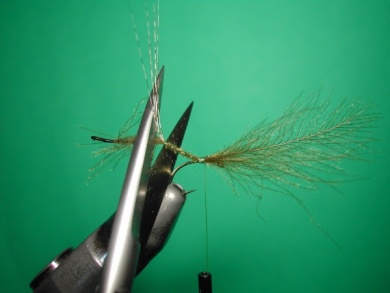 Fly tying - Mirage 3 - Step 6