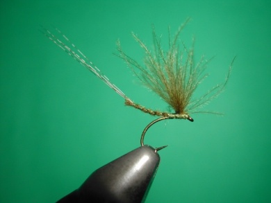 Fly tying - Mirage 3 - Step 11