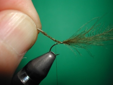 Fly tying - Mirage 3 - Step 5
