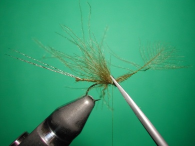 Fly tying - Mirage 3 - Step 8