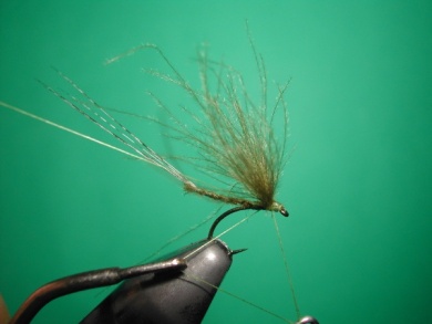 Fly tying - Mirage 3 - Step 9