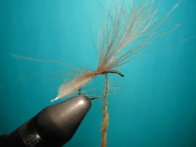 Fly tying - CDC emerger - Step 3