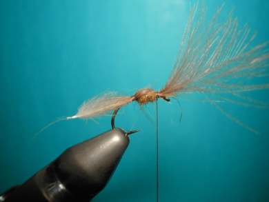 Fly tying - CDC emerger - Step 5