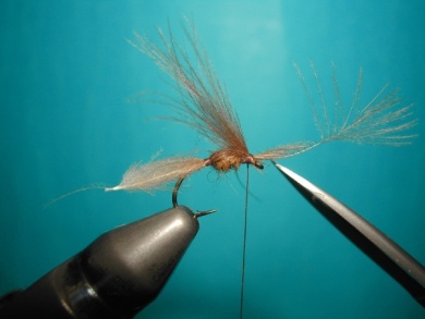 Fly tying - CDC emerger - Step 6