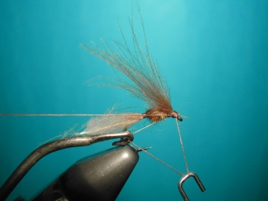 Fly tying - CDC emerger - Step 7