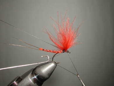 Fly tying - Mirage 4  - Step 11