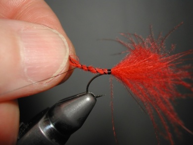 Fly tying - Mirage 4  - Step 5