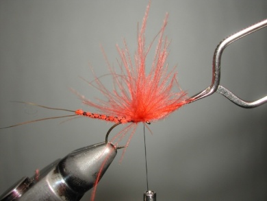 Fly tying - Mirage 4  - Step 9