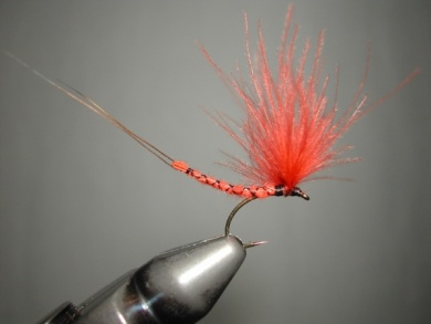 Fly tying - Mirage 4  - Step 12
