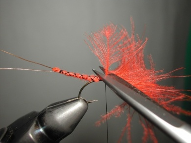 Fly tying - Mirage 4  - Step 8