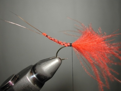 Fly tying - Mirage 4  - Step 7