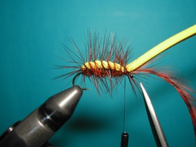 Fly tying - Palmer - Step 6