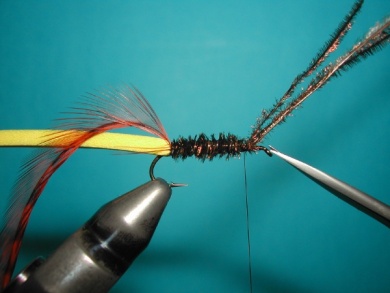 Fly tying - Palmer - Step 4