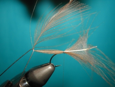 Fly tying - Mirage 5  - Step 2