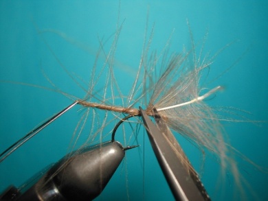 Fly tying - Mirage 5  - Step 5