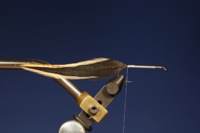 Fly tying - M.M. INJURED MINNOW - Step 3