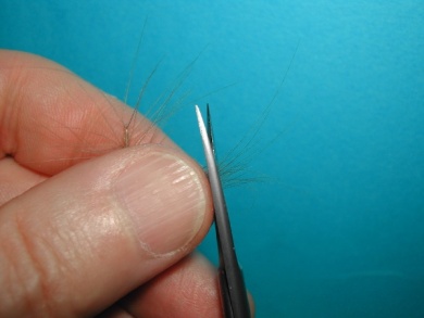 Fly tying - Mirage 5  - Step 9