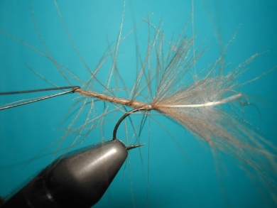 Fly tying - Mirage 5  - Step 4
